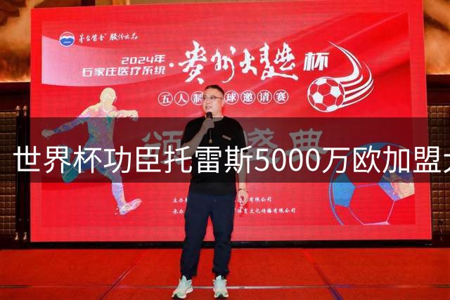 世界杯功臣托雷斯5000万欧加盟大巴黎