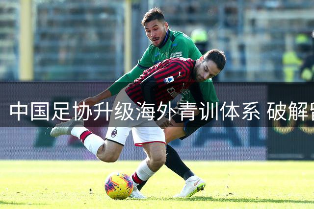 中国足协升级海外青训体系 破解留洋少年三大成长困境