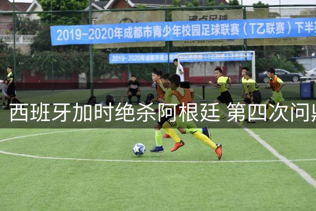 西班牙加时绝杀阿根廷 第四次问鼎世界杯冠军